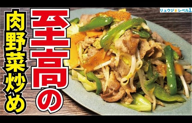野菜は炒め方でここまで旨くなる。特別な調味料なしで中華飯店の味です【至高の肉野菜炒め】