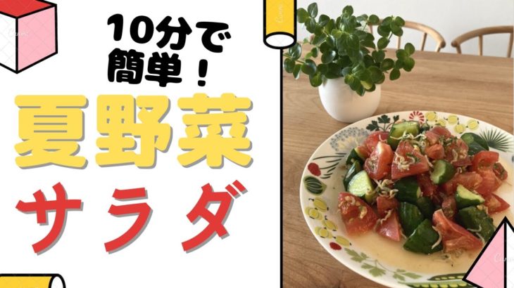 【簡単レシピ！】トマトときゅうりの夏野菜サラダ【10分で作れる】