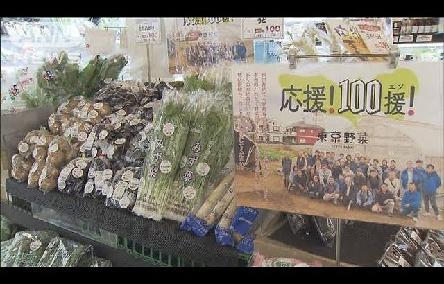 新鮮「東京野菜」を普及へ　都内で100円セール(19/08/31)