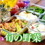 【作り置きレシピ】忙しくても簡単！旬の野菜のおかず5品！アスパラガス・春キャベツ・菜の花・春菊・カブ