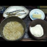 ねこまんま-Japanese food of cat’s meal style-【江戸長火鉢　79杯目】