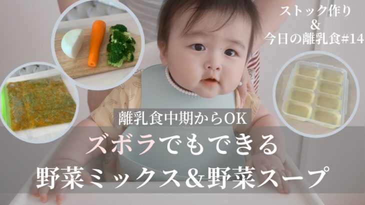 【離乳食 中期からOK】ズボラでもできる野菜ミックス 離乳食 ストック作り 保存/とある日の食事#14 初めてのつぶつぶ野菜 モグモグ期 ７ヶ月 赤ちゃん Japanese Baby Mukbang