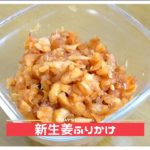 【簡単レシピ】新生姜ふりかけ作り方　箸休め　副菜　旬の野菜