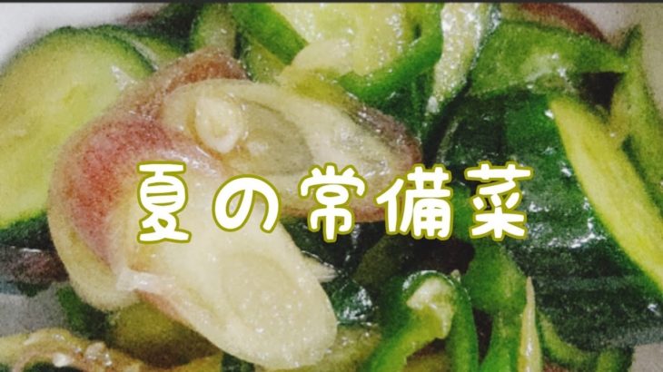 ❮節約ずぼらご飯❯  夏野菜の常備菜☆