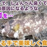 神奈川の“バリ島”で釣れる嫌われ者の「アイゴ」を美味しく食べる！