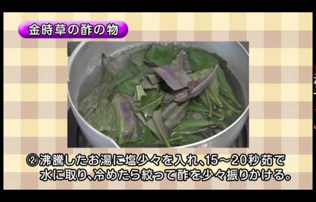 加賀野菜を使った簡単レシピ～金時草の酢の物～
