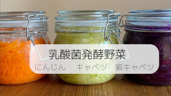【乳酸菌発酵野菜の作り方】　人参、キャベツ、紫キャベツ
