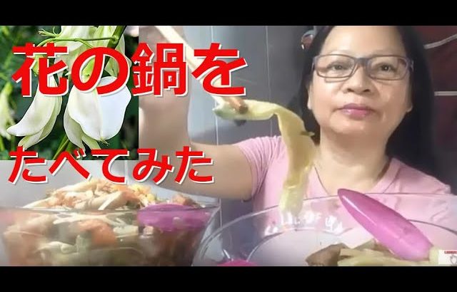 「簡単レシピ鍋料理」野菜とビーフンの花の鍋を食べてみた