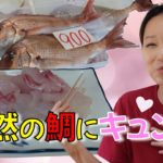 【岡山県笠岡市】新鮮さが全然違う!初めて食べる鯛の刺身に感動!