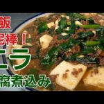 【野菜レシピ】ニラたっぷり超美味しすぎて♪︎ご飯がすすむ豆腐煮込み