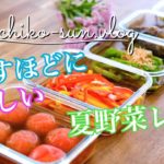 【作り置きレシピ】冷やすほど美味しい！夏野菜の簡単副菜♪パプリカ・トマト・ナス・ピーマン・オクラ