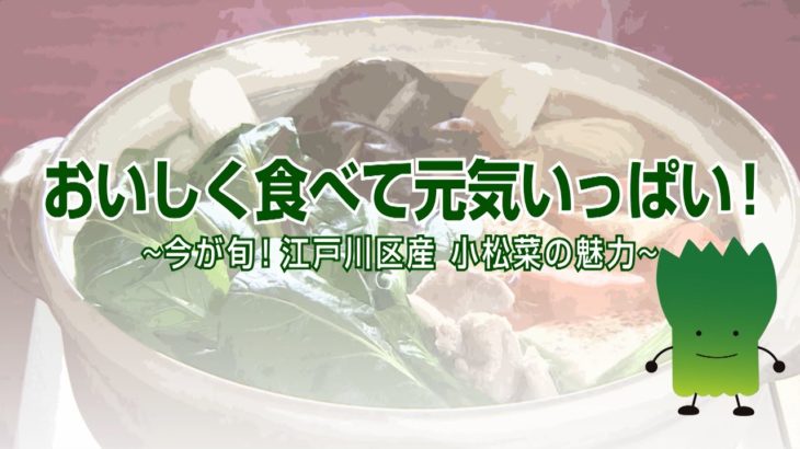 おいしく食べて元気いっぱい！～今が旬！江戸川区産 小松菜の魅力～