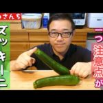 【おつまみレシピ】これマジ美味い！夏野菜のエリート♫夏食べなきゃいつ食べる！！