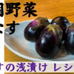 【レシピ】長岡野菜 梨なすの浅漬け の作り方