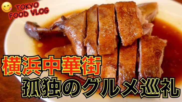 【横浜中華街】行列ができる美味しい広東料理をアテに、一人飲み／食べログ百名店／孤独のグルメ巡礼《南粤美食》【ごはん日記#84】Tokyo Food Vlog – Yokohama China Town