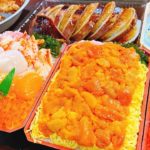 【爆食】質問コーナーをしつつ北海道物産展で買った豪華海鮮丼をただ美味しくいただきます！ウニ、イクラ、カニ食べ放題最高♪ Sashimi rice bowl  Japanese Street Food