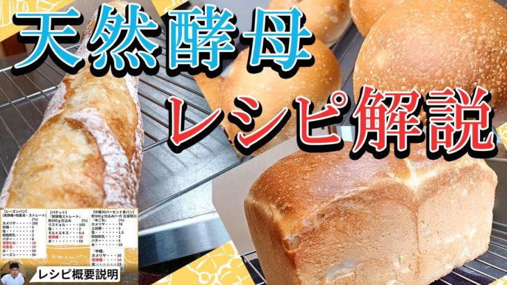【天然酵母レシピ解説】『通常のパン作りと違う気を付けるポイントは？』