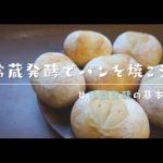 【ズボラなパン作り】冷蔵発酵の基本を知ろう！