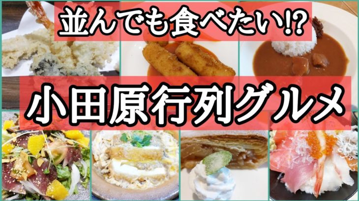 【小田原ラスカ】並んでも一度は食べたいグルメ巡り、又食べたくなります!