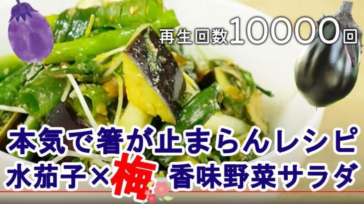 香味野菜香る、水茄子と梅干、香味野菜のサラダレシピショート動画