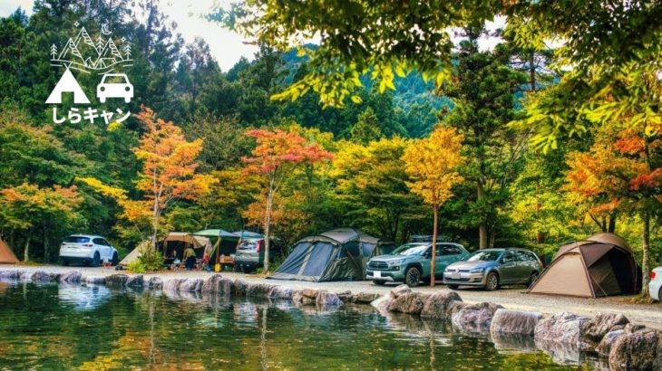 【秋の紅葉キャンプ】道志の森キャンプ場のプールサイトで過ごすファミリーキャンプ