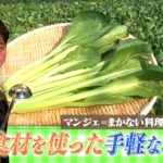 「旬感レシピ」簡単レシピコーナー　旬感食材：小松菜（東京都江戸川区）