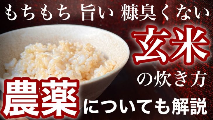 玄米を極ウマにする意外な炊き方と玄米の残留農薬について解説
