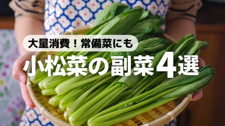【大量消費】作り置き、常備菜にもピッタリな小松菜の副菜レシピ4品