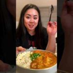 EXTRA CREAMY Japanese Chicken Curry