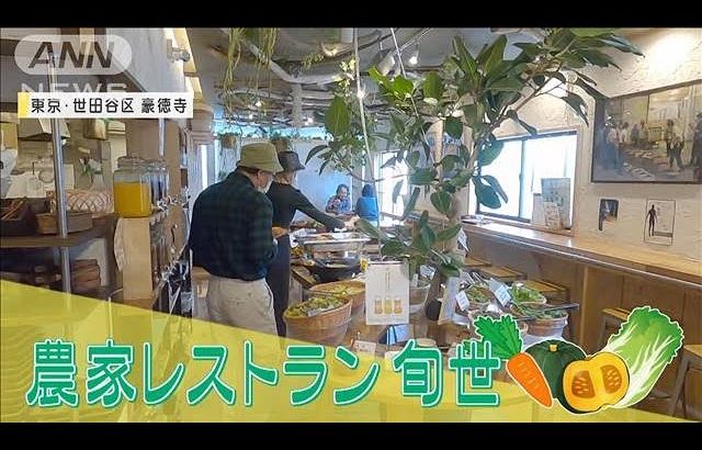 まるでテーマパーク！？超穴場の東京農家レストラン(2021年12月1日)