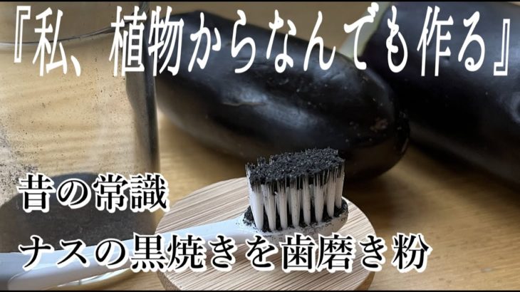 【江戸時代の生活】ナスの黒焼きの歯磨き粉の作り方｜現代人悶絶｜口内衛生最高