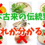 日本古来の伝統野菜、みんなで食べて健康増進と環境保全【VOICEROID解説】