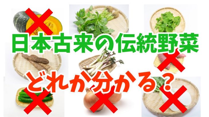 日本古来の伝統野菜、みんなで食べて健康増進と環境保全【VOICEROID解説】