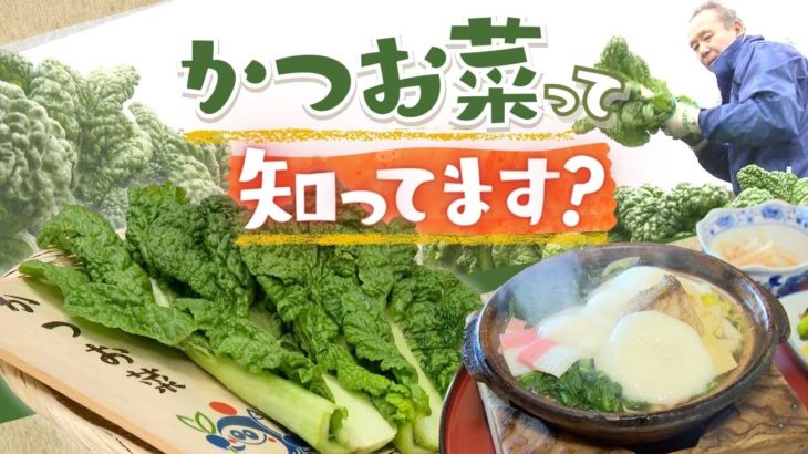 博多雑煮の定番具材「かつお菜」とは～福岡でしか食べられていない？