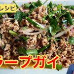 【ひらがなレシピ】エドと タイ料理(りょうり) #41 ラープガイ