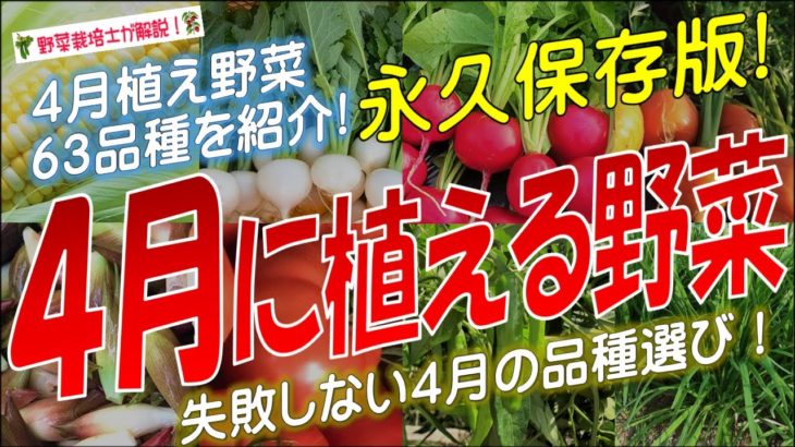 4月に植える野菜（63品種）永久保存版