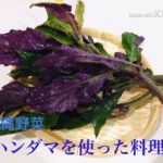 【島野菜レシピ】ハンダマ3種のおにぎり等【2021-8】