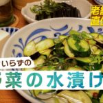 [ 酒の肴レシピ ]  超簡単夏野菜の水漬け ミョウバンを使わない浅漬け/   4K