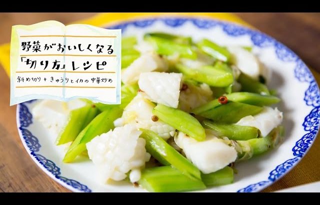 斜め切りしたキュウリとイカの中華炒め：Cucumber & Squid Stir-fry | 切り方ひとつでおいしくなるレシピ