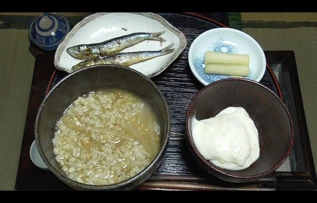 ねこまんま-Japanese food of cat’s meal style-【江戸長火鉢　79杯目】