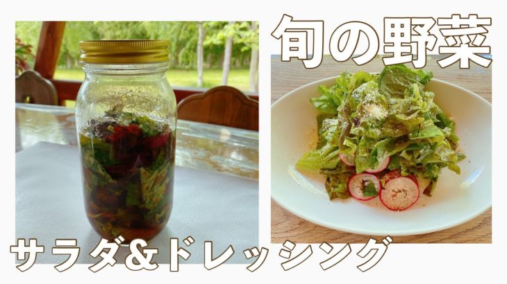 【簡単レシピ】シソを使った野菜ドレッシング＆サラダ