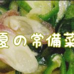 ❮節約ずぼらご飯❯  夏野菜の常備菜☆