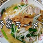 ❮節約ずぼらご飯❯  野菜味噌ラーメン～
