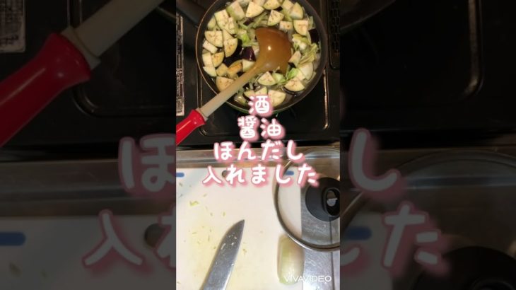 ずぼら料理【野菜たっぷりお味噌汁・キャベツの千切り・離乳食（にんじん・ナス）】