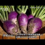 【映像詩】伝統野菜「芥屋かぶ」を守り継ぐ