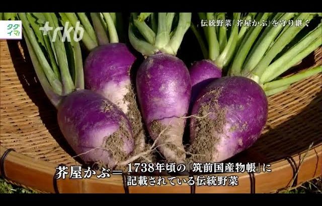 【映像詩】伝統野菜「芥屋かぶ」を守り継ぐ
