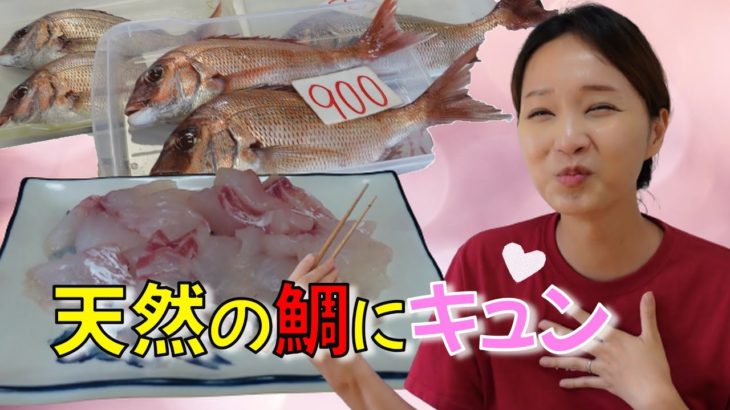 【岡山県笠岡市】新鮮さが全然違う!初めて食べる鯛の刺身に感動!