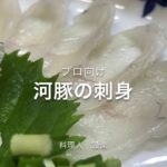 フグの刺身のひき方　てっさの引き方　作り方　菊花作り