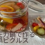 電気圧力鍋で作る簡単ピクルスレシピ〜冷蔵庫の余り野菜活用レシピ〜