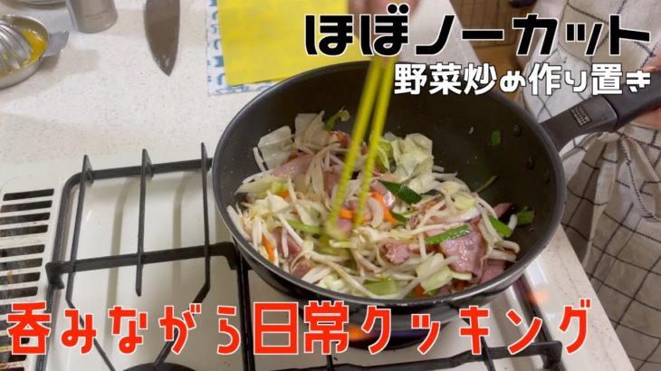 【アラフィフ主婦日常料理記録】作り置き 野菜炒め・簡単レシピ